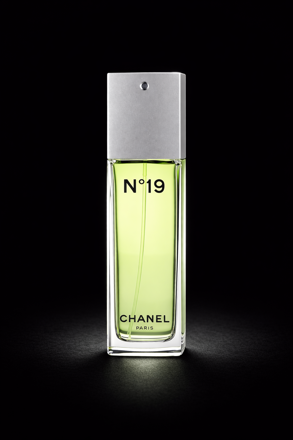 Chanel 19 women Eau De Toilette Spray 3.4 oz